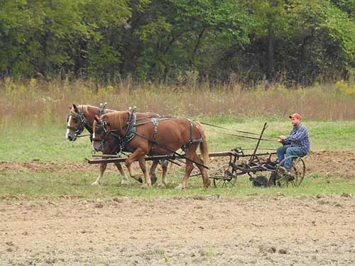 Get a glimpse at pioneer life at farming, historical craft days event